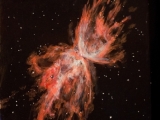 butterfly nebula