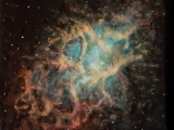 crab nebula