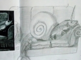 gorey snail