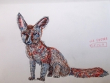 pen fox